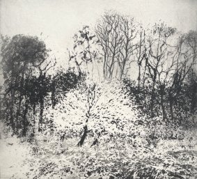 The Wychwood In Winter, framed etching - £920 NOW SOLD