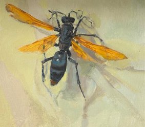 Tarantula Hawk Wasp, 2020, oil on board, 16.5x18.5cm inc. frame - £330