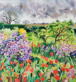 Tulips At Great Dixter, oil on canvas, 24x26" - £6,400 NOW SOLD